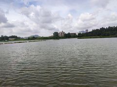 -松山湖南湖湾露营营地