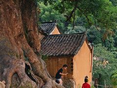 -杨家堂村