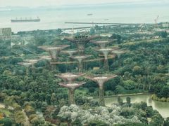 -新加坡摩天观景轮