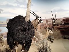 -陕西自然博物馆