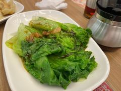 -小杨生煎(白玉兰广场店)