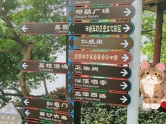 -荔湾湖公园