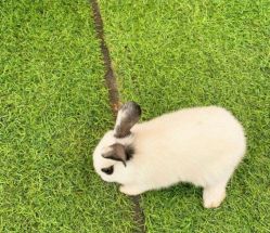 -萌宠亲子动物乐园(槐房万达店)