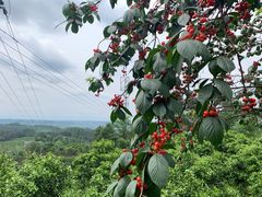 -樱桃山旅游景区