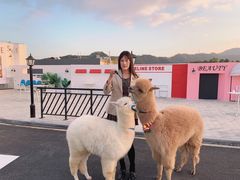 -Blue Concept Cafe&Farm·關於藍