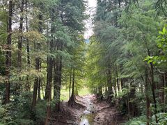-广州市白云山风景名胜区