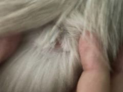 -达爱动物医院·犬猫分区·CT·复杂眼科(远洋山水分院)