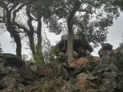 -豫园