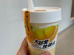 -树夏(锦里店)