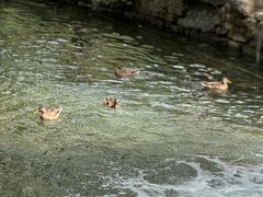 -水磨沟公园