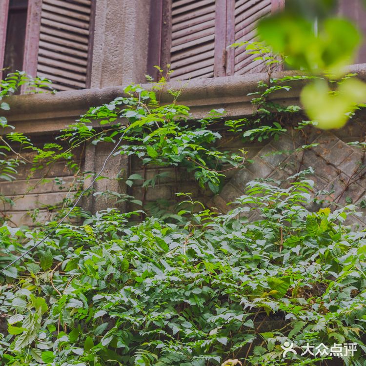 热闹的江汉路步行街背面，一墙之隔的上海村旧址 