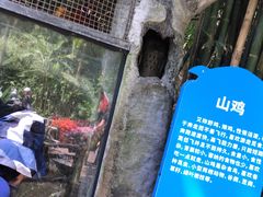 -青青世界