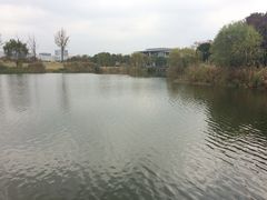 -新江湾城公园