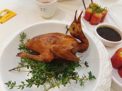 龙井茶香妙龄乳鸽-蔡澜点心·粤菜(月星环球港店)