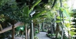 -恐龙探索乐园(磁器口店)