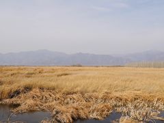 -野鸭湖国家湿地公园