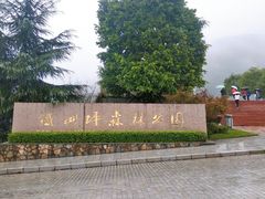 -铁山坪森林公园