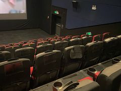 -万达影城(潍坊万达广场IMAX店)