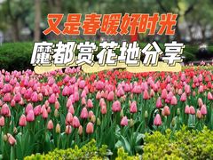 -徐家汇公园