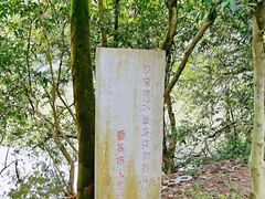-滴水岩森林公园