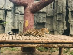 -石家庄市动物园