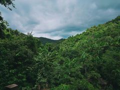 -野象谷景区