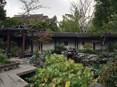 -巡塘古镇