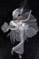 -十孕纪高端孕妇亲子摄影