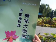 -白洋淀景区