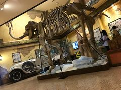 -信不信由你博物馆