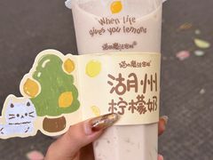 -猫的魔法密林(衣裳街店)