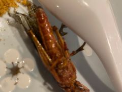 -柿子树炭烤羊腿(金台路店)