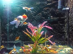 -苏州海洋馆