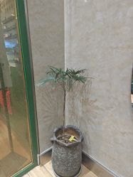 -逸丝风尚专注烫染