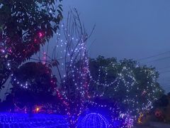 -上海杨姆庄园