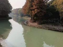 -贡湖湾湿地公园