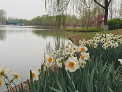 -石家庄市植物园