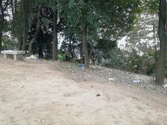 -黄埔油麻山森林公园