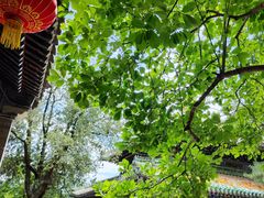 -潭柘寺景区