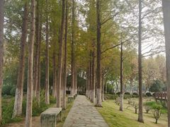 -金银湖国家城市湿地公园