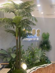 -八佰伴8008星级形象店