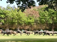 -广州雕塑公园