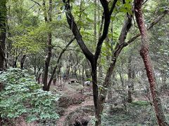 -宁波市保国寺古建筑博物馆