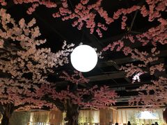 -蓝鲸湾汤泉(包河店)