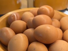 -龍歌自助小火锅(城阳万象汇店)