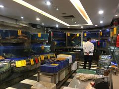 水产区-北海渔村酒楼·粤菜海鲜点心(新华店)