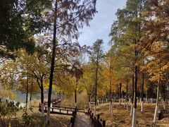 -江南大学(蠡湖校区)