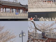 -苏州上方山国家森林公园