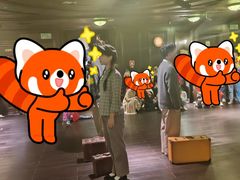 -武汉知音号