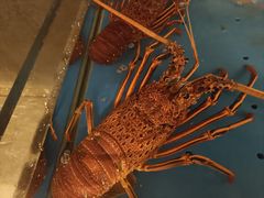 -徐记海鲜(大雁塔|金都店)